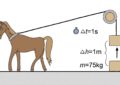 Kako izračunati snagu u “KS”? Konjska snaga – koliko je snažan konj?